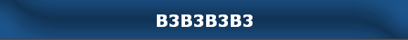 B3B3B3B3